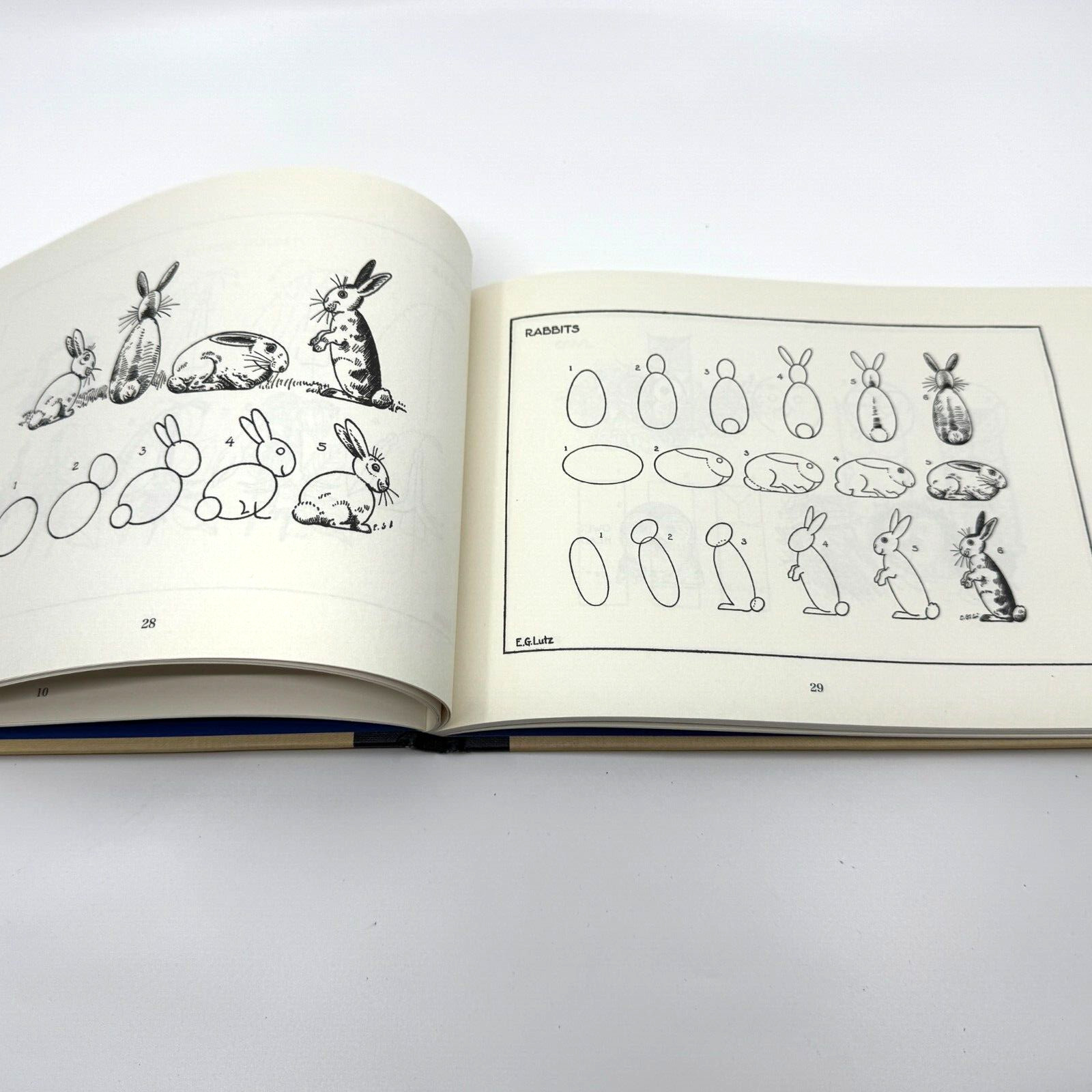 Drawing Made Easy by E.G. Lutz, Hardcover/ISBN 9781910552209