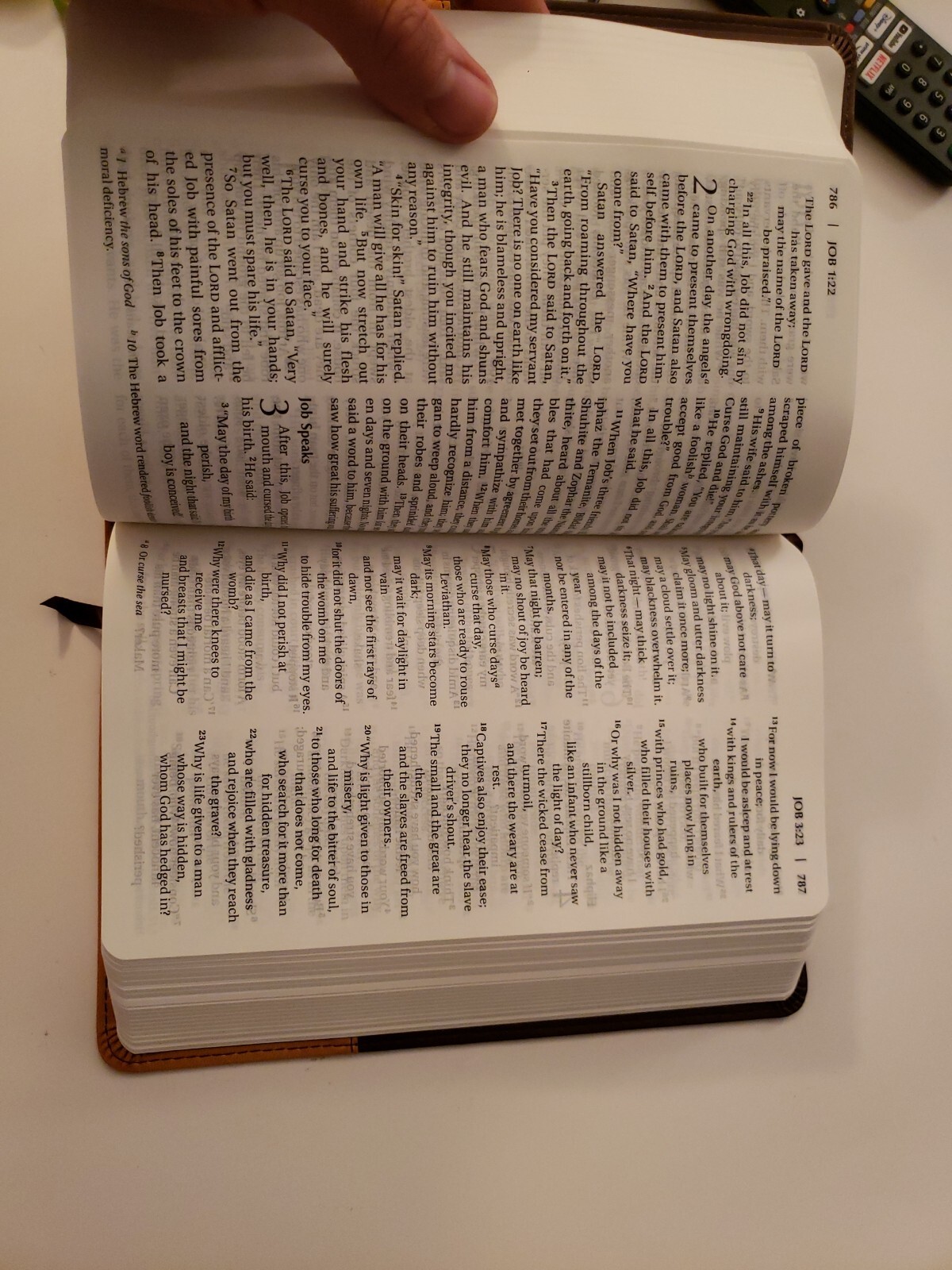 NIV Holy Bible Large Print Chocolate / Amber Duo Tone Brown Leather Cover Church