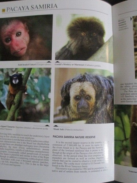 Essential Guide Peruvian Amazan Peru Paperback Book 2011 31 Pages 6.5 X 9 inc