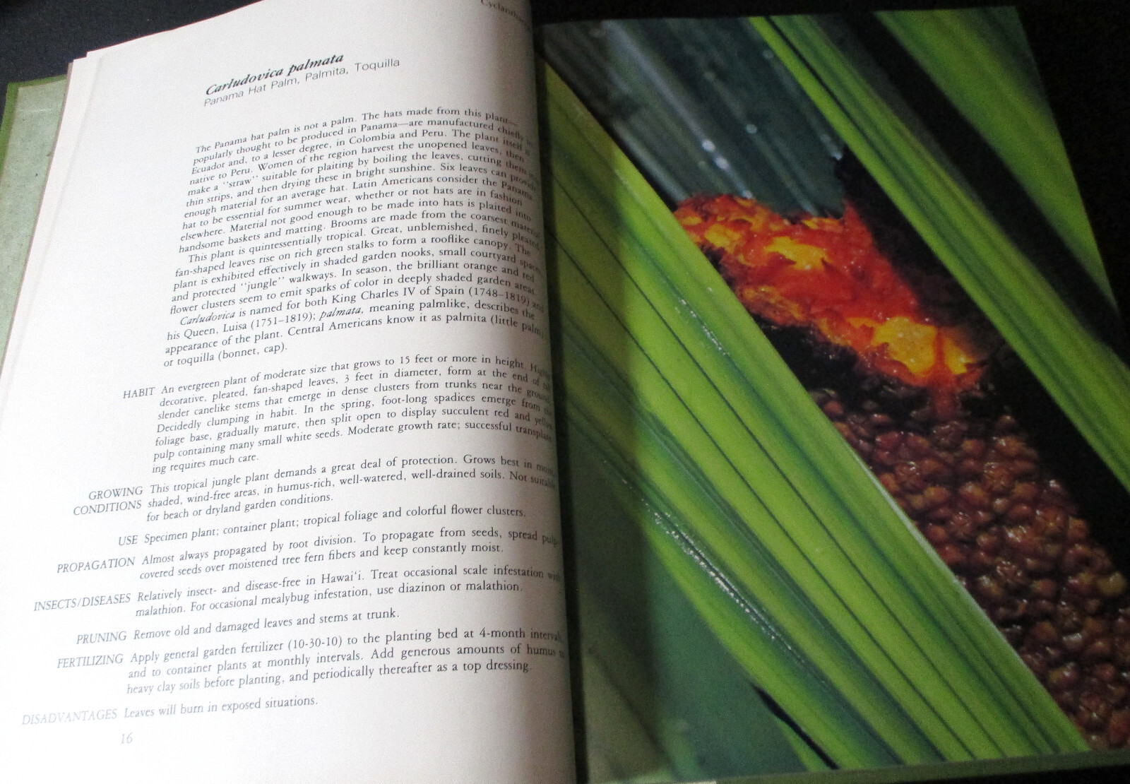 HAWAII GARDEN TROPICAL EXOTICS Horace Clay SIGNED HC 1ST 1977 Gardening Plants