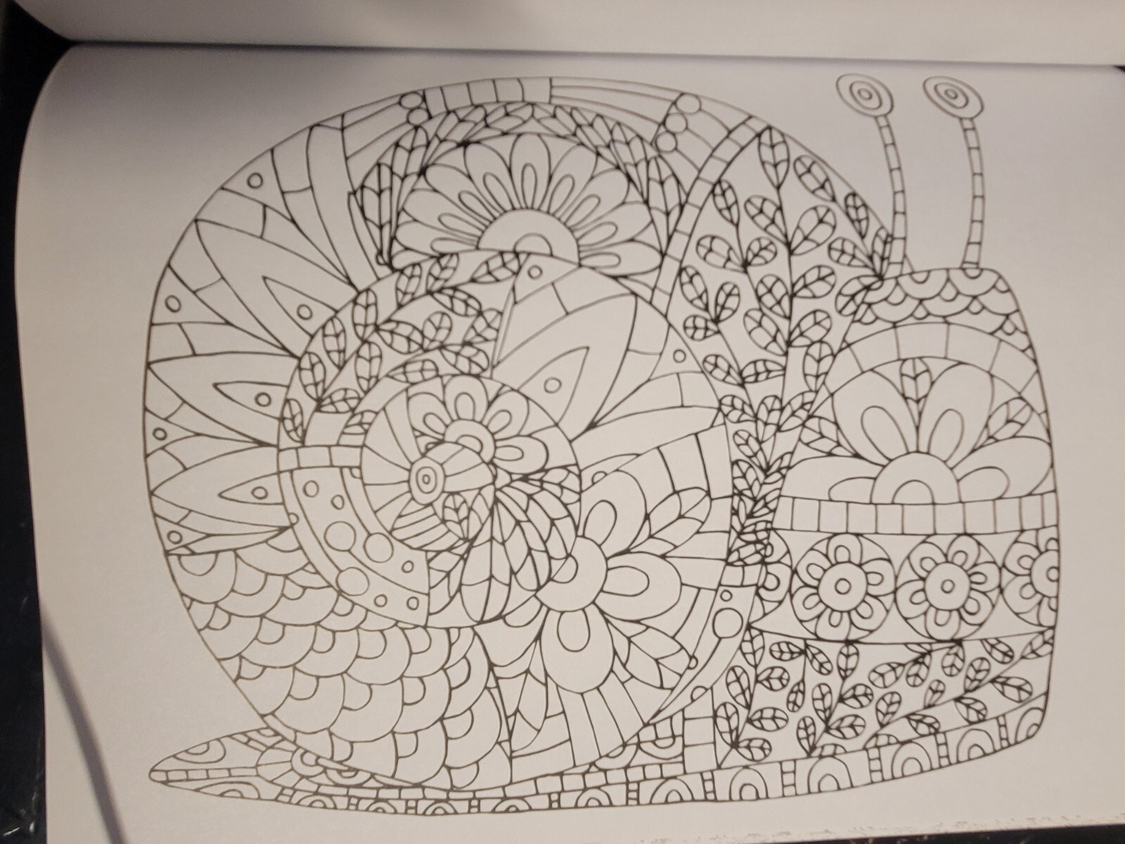 COLOR ME MAGNIFICENT Vol 12 Adult Coloring Book With 47 Prints Ready To Frame