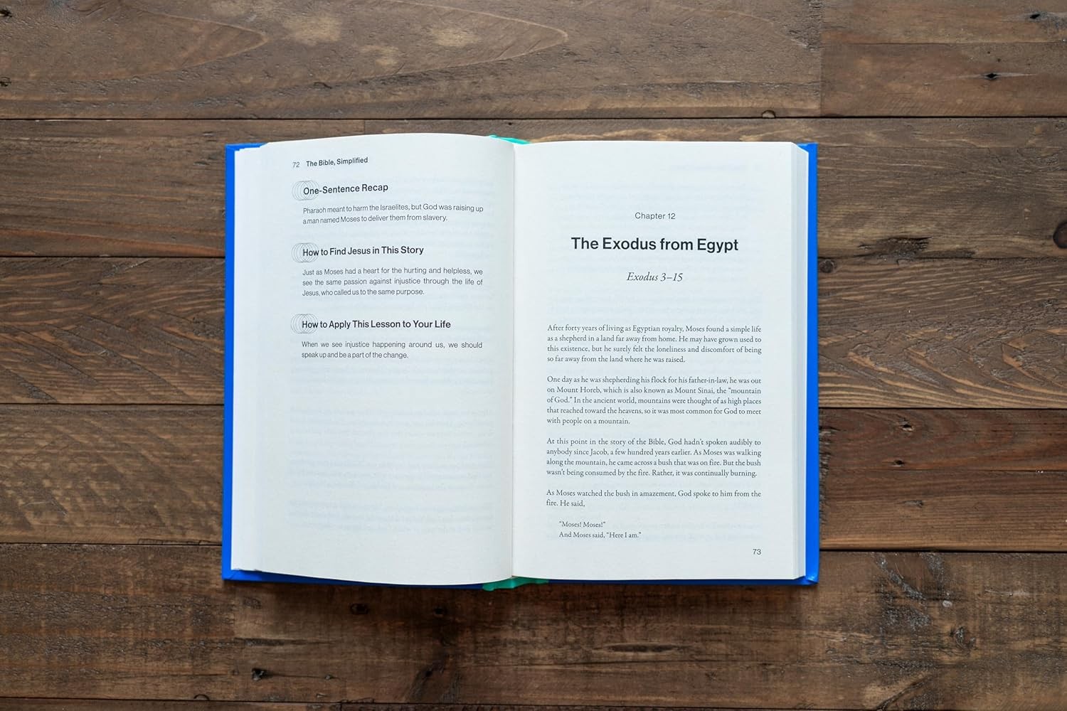 The Bible Made Easy: Understand and Live the Message of Scripture