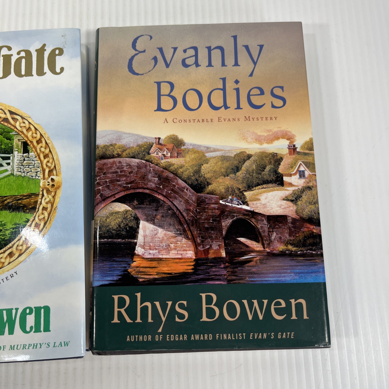 Rhys Bowen Constable Evans Thriller Crime Mystery Book Lot Hardcover HCDJ