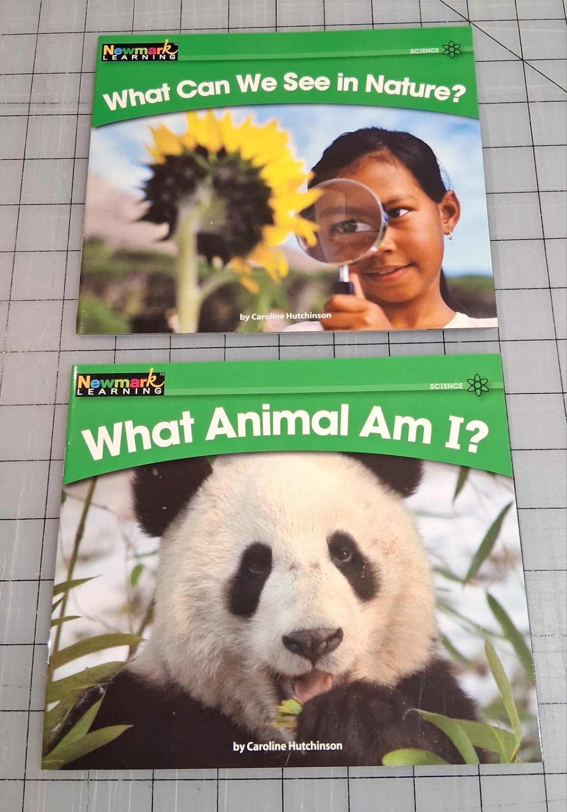 Newmark Learning Set of 12 Paperback by Carolyn Hutchinson Books
