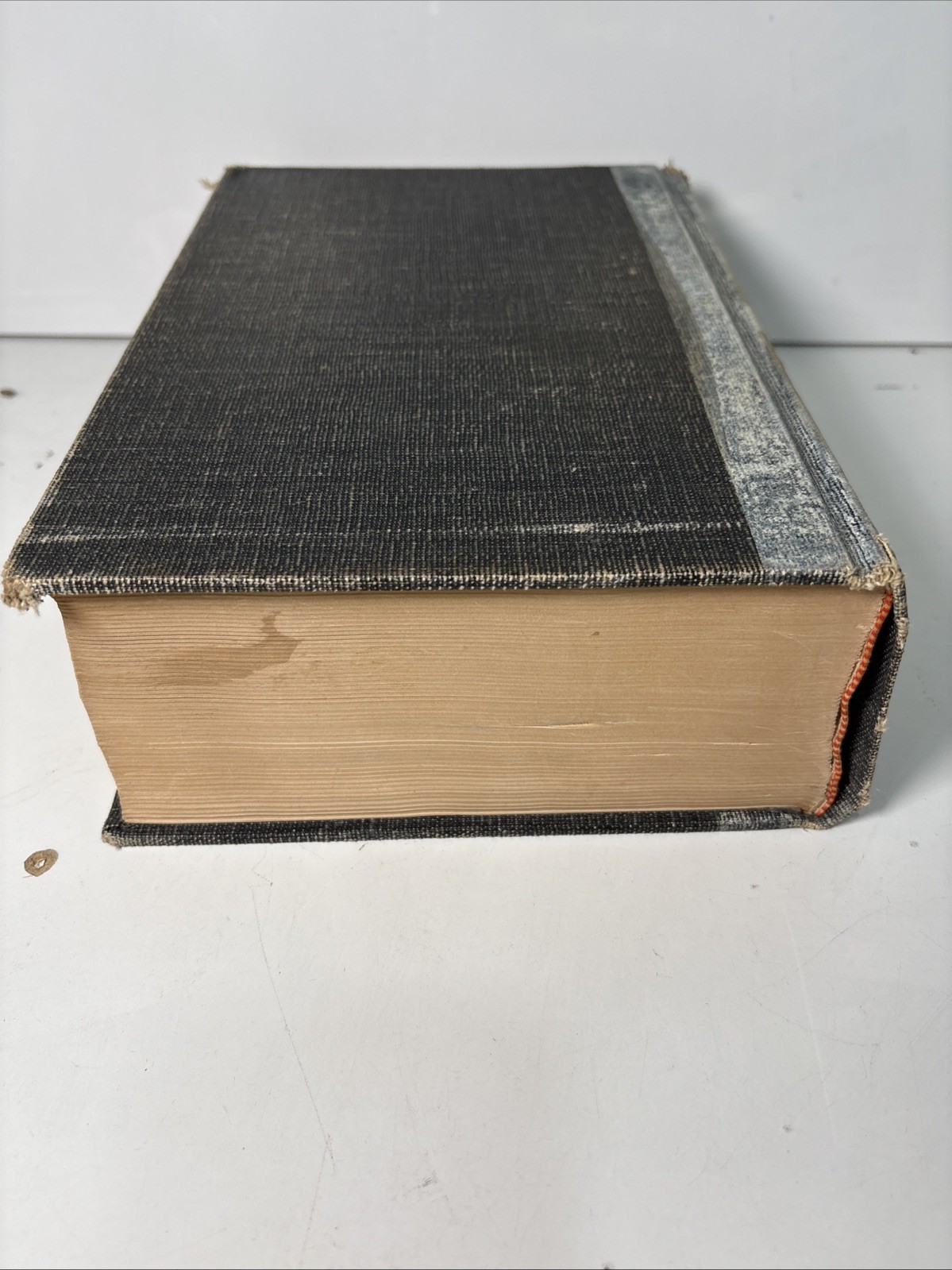 THE NEWBERRY STUDY BIBLE by THOMAS NEWBERRY LARGE-TYPE REFERENCE EDITION 1960