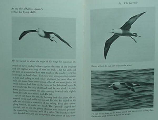 ALBATROSS OF MIDWAY ISLAND, 1972 BOOK (LAYSAN ALBATROSS