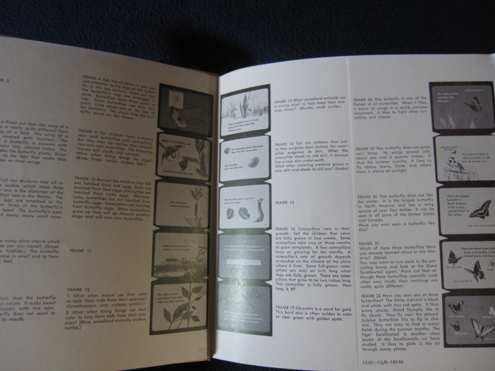 What is a Butterfly (The What is it series) Darby, Gene 1958