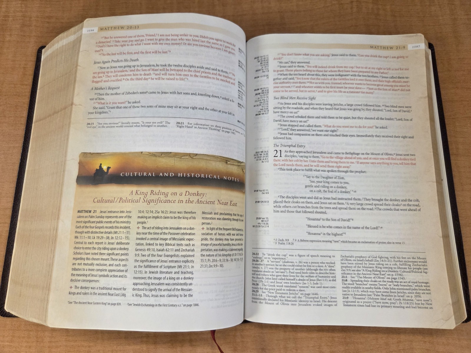 Zondervan NIV Archaeological Study Bible 2005 Bonded Leather Burgundy VG