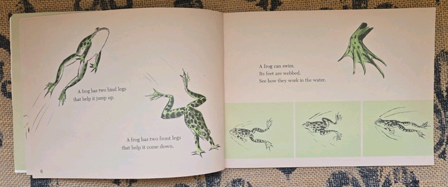 Stories about Frogs Childrens Book Lot Freddie the Frog, Hoppy Long Legs, Gorky