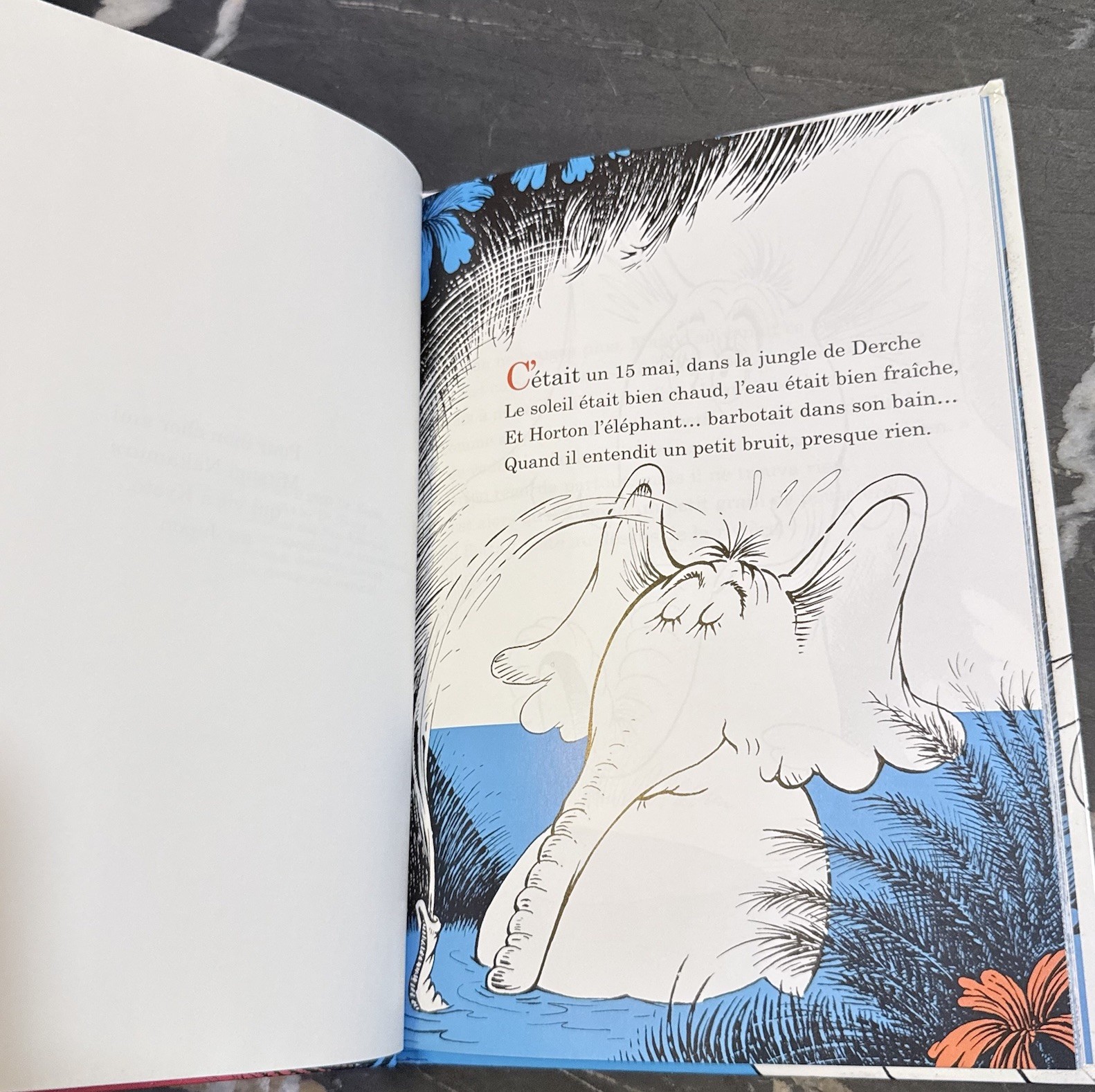 Dr Seuss Horton Entend Un Zou French Hardcover 2009 Ulysses Press HC