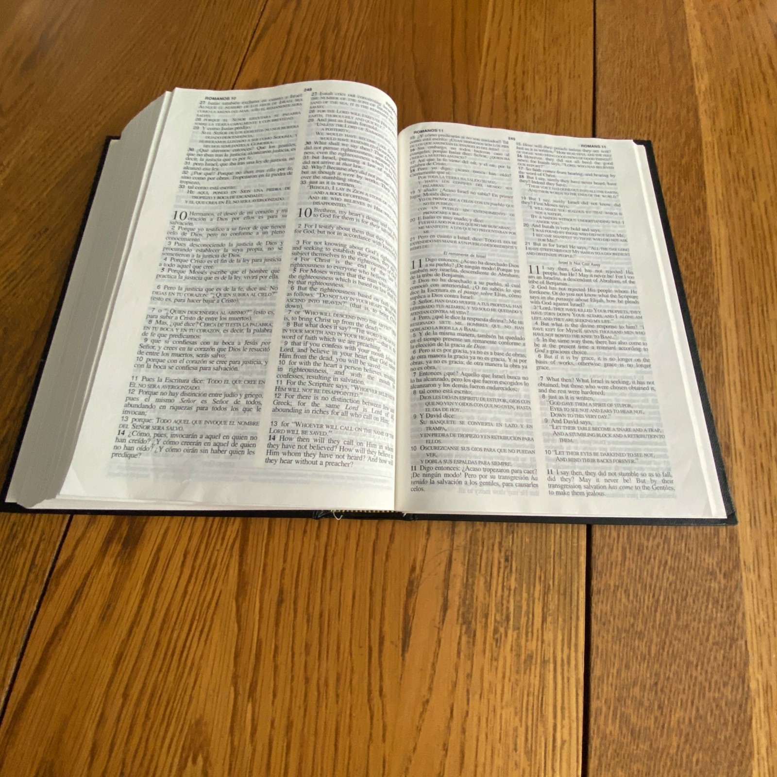 Santa Biblia Holy Bible NASB Updated Edition Bilingual Edition Hardcover Black