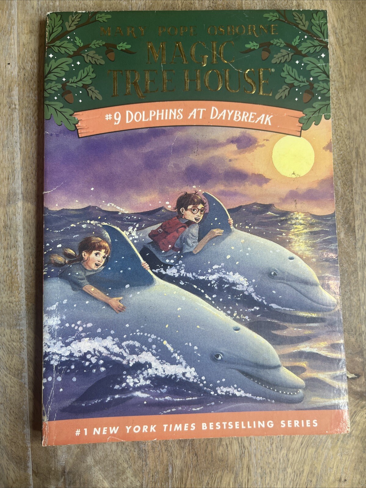 Dolphins at Daybreak (Magic Tree House, No. 9)