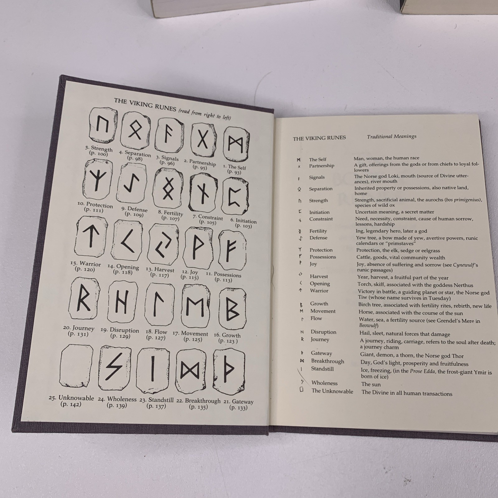 Occult Book Lot of 3: Taking Up the Runes, Book of Runes, Nordic Runes