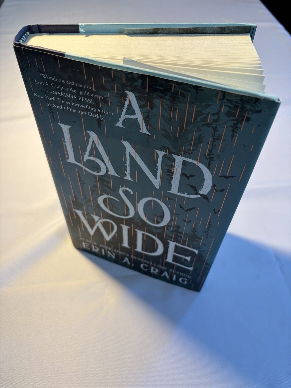A Land So Wide : A Novel by Erin A. Craig (2025, Hardcover)