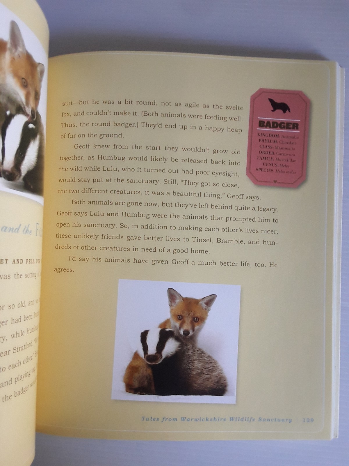 Unlikely Loves By Jennifer S. Holland 43 Heartwarming True Stories Animals Pets