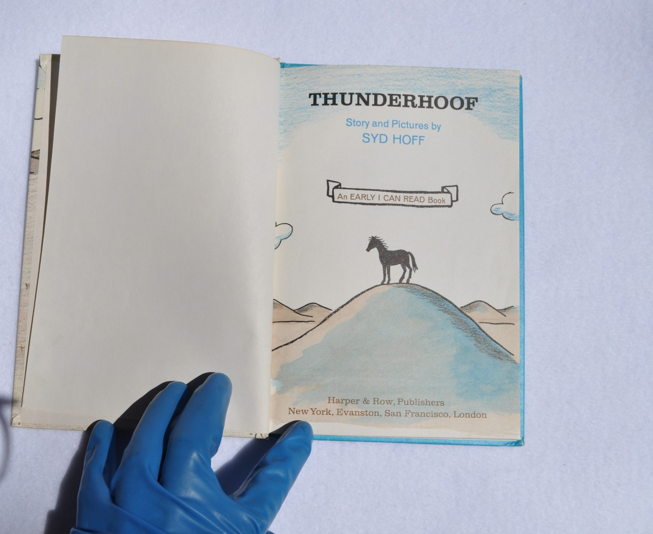 Horse Books For Kids: Horace, The Horse; Thunderhoof +vinyl record; Baby Horses