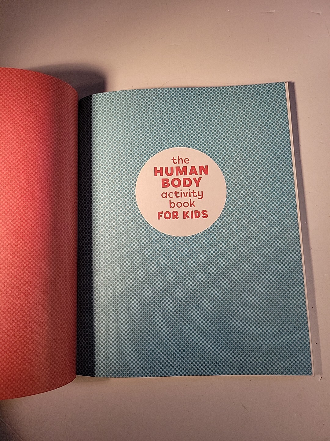 Human Body Activity Book for Kids : Hands-On Fun for Grades K-3 by Katie Stokes