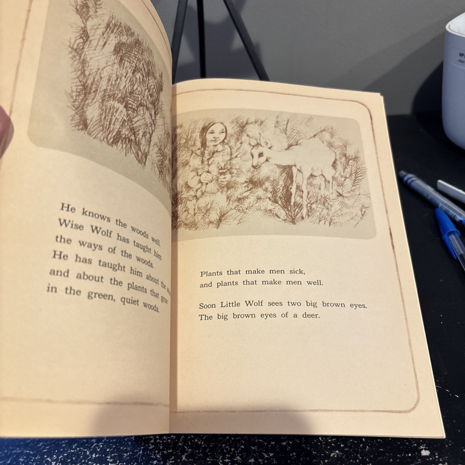 “Little Wolf” by Ann McGovern A 1970 Vintage Paperback – 1st Printing