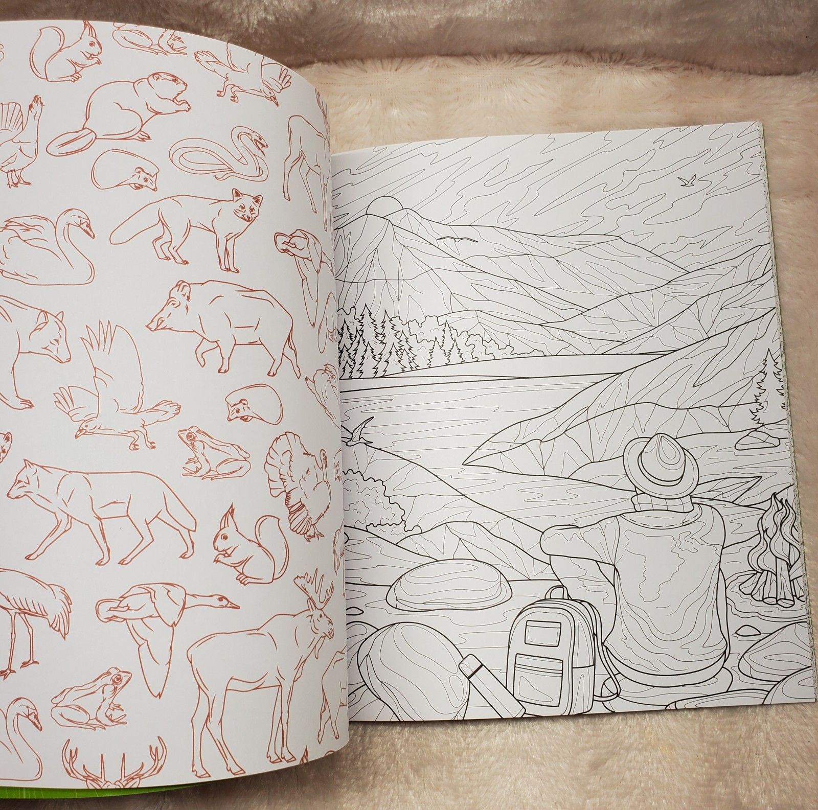Mountains and Wilderness Coloring Book : Color Incredible Outdoor Scenes: New