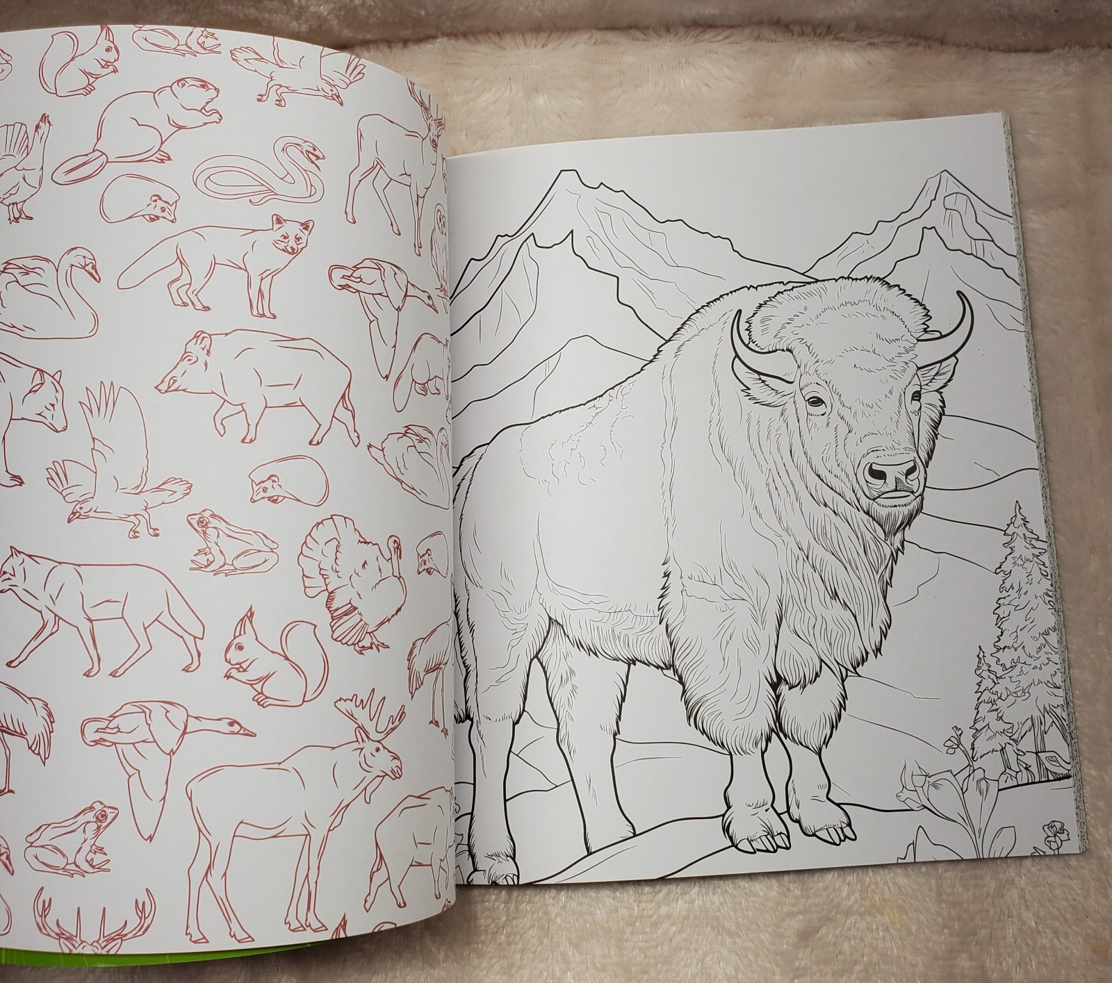 Mountains and Wilderness Coloring Book : Color Incredible Outdoor Scenes: New