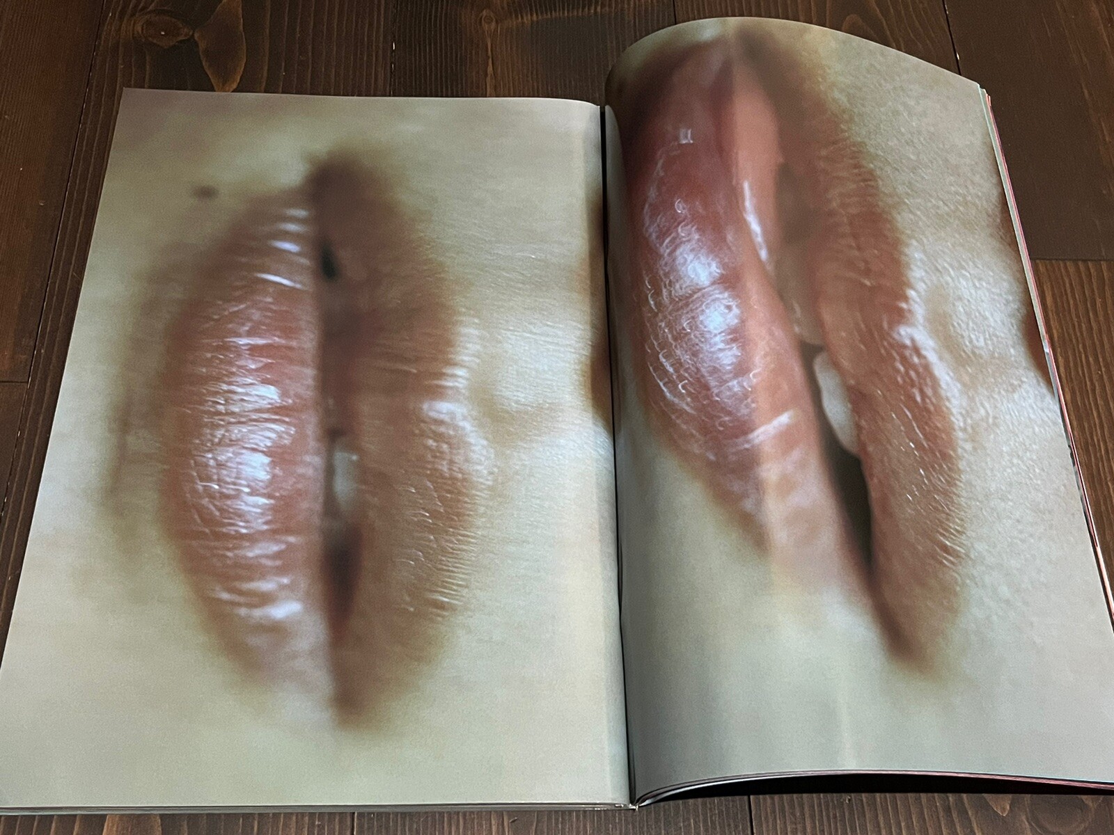 2004 1ST EDITION NOBUYOSHI ARAKI MONTHLY GEKKAN TAMAO SATO JAPANESE PHOTO BOOK
