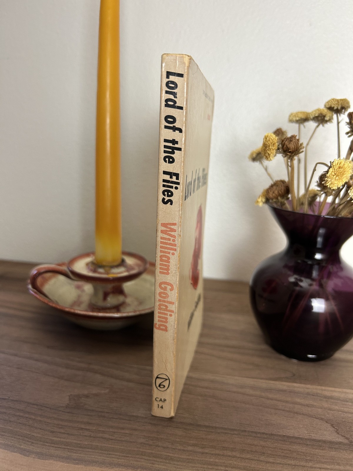 Lord of the Flies – William Golding – 1959 Paperback 27th Print – Capricorn Book