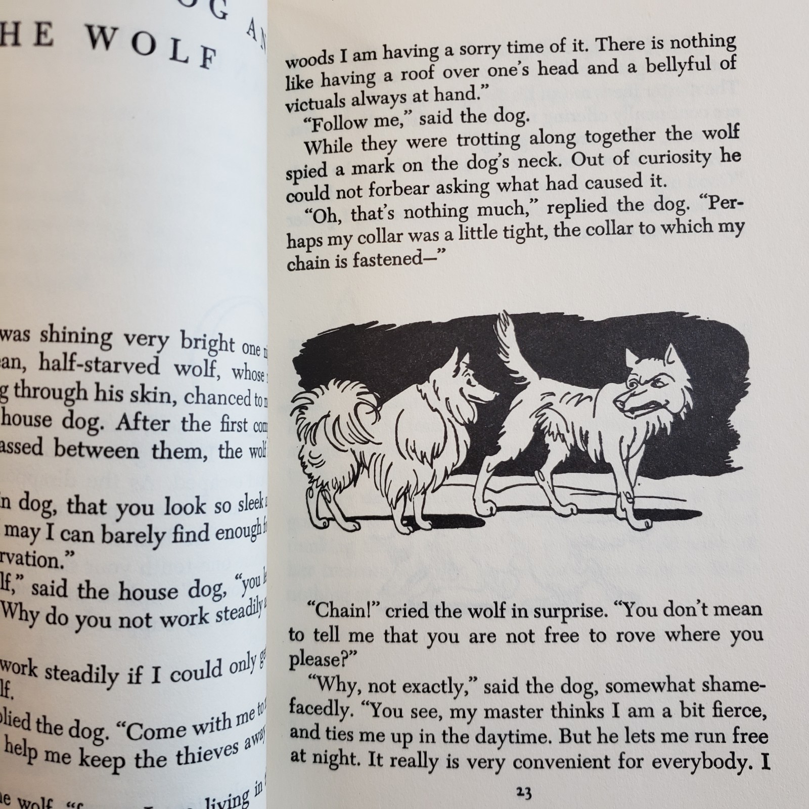 Aesops Fables Illustrated Junior Library 1989 Printing 234 Pages