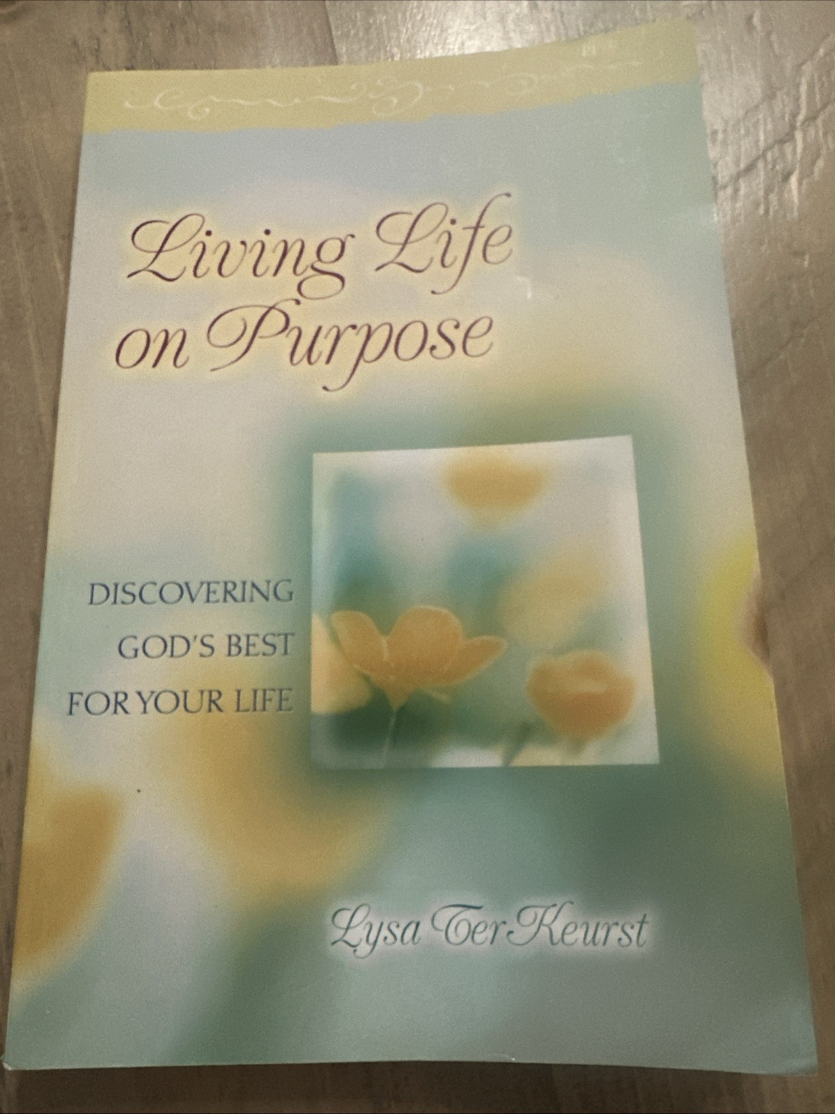 Best Yes & Living Life On Purpose by Lysa Terkeurst (2014, Trade Paperback)