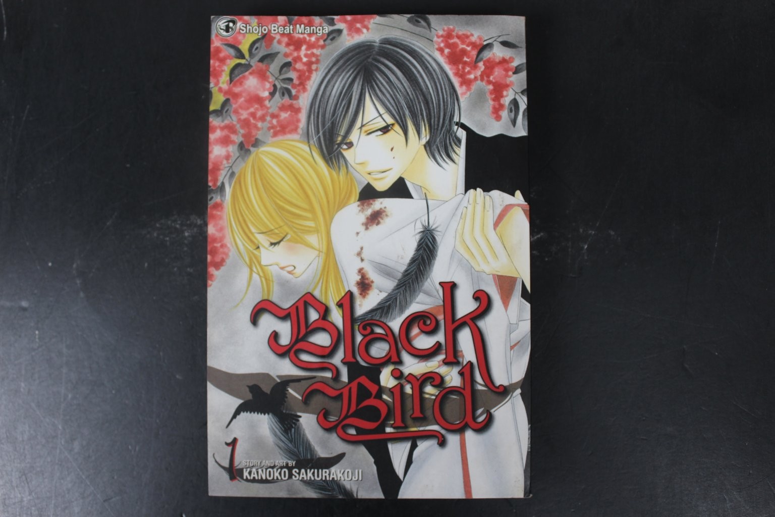 Black Bird, Vol. 1 Kanoko Sakurakoji 2010 Shojo Manga Supernatural VIZ Media VG