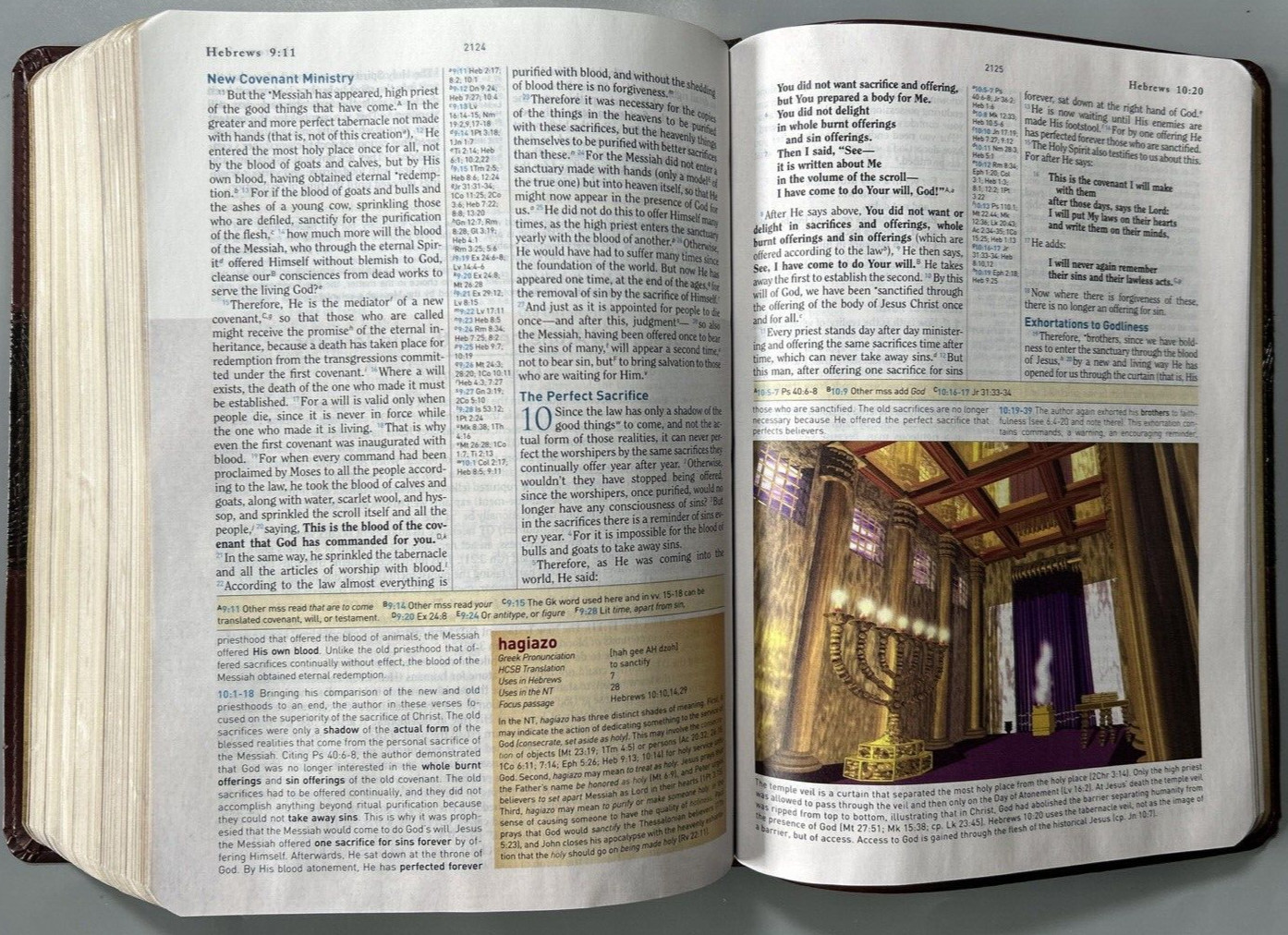 HCSB Study Bible Mahogany Duotone Simulated Leather Clean Text G+ USA Print
