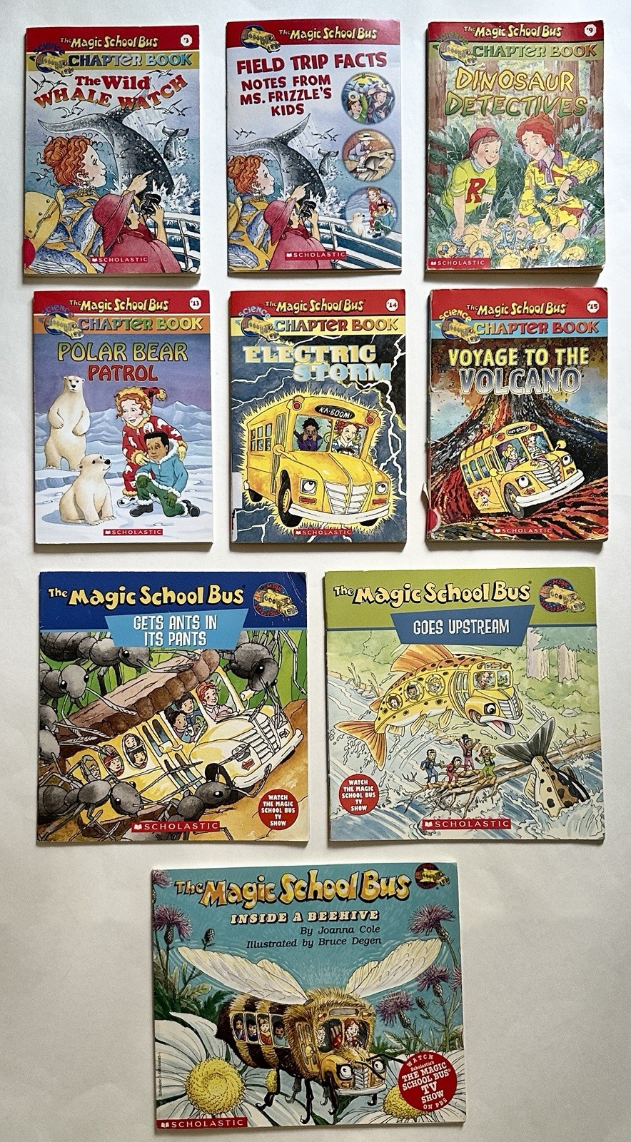 Magic School Bus Mixed Lot of 9 Books Chapter Beginner Science 1990s/2000s