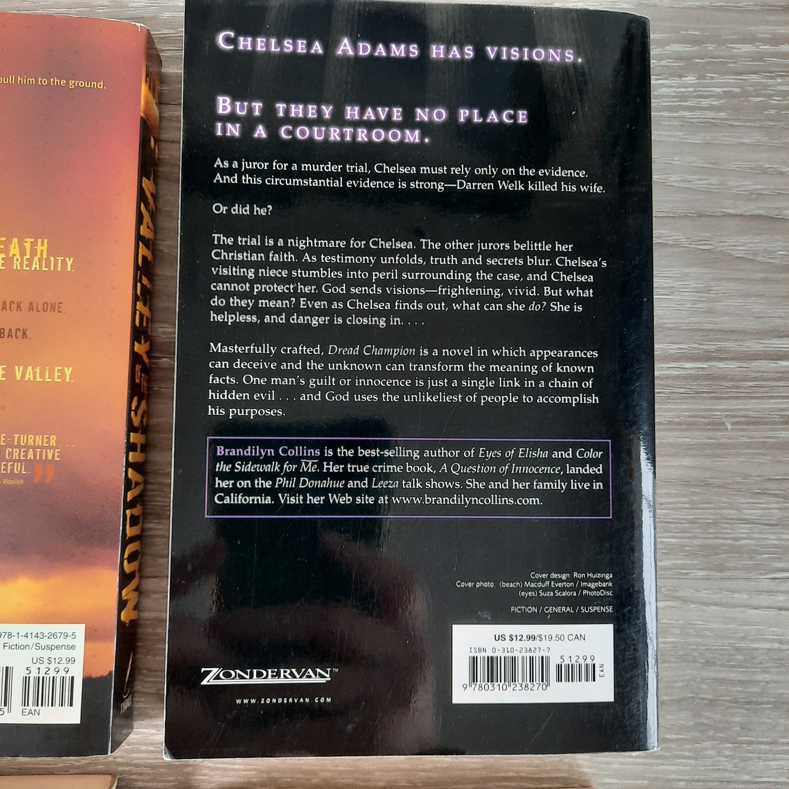 Christian Fiction Lot of 10 Trade Paperbacks Ted Dekker Wm. Paul Young Davis