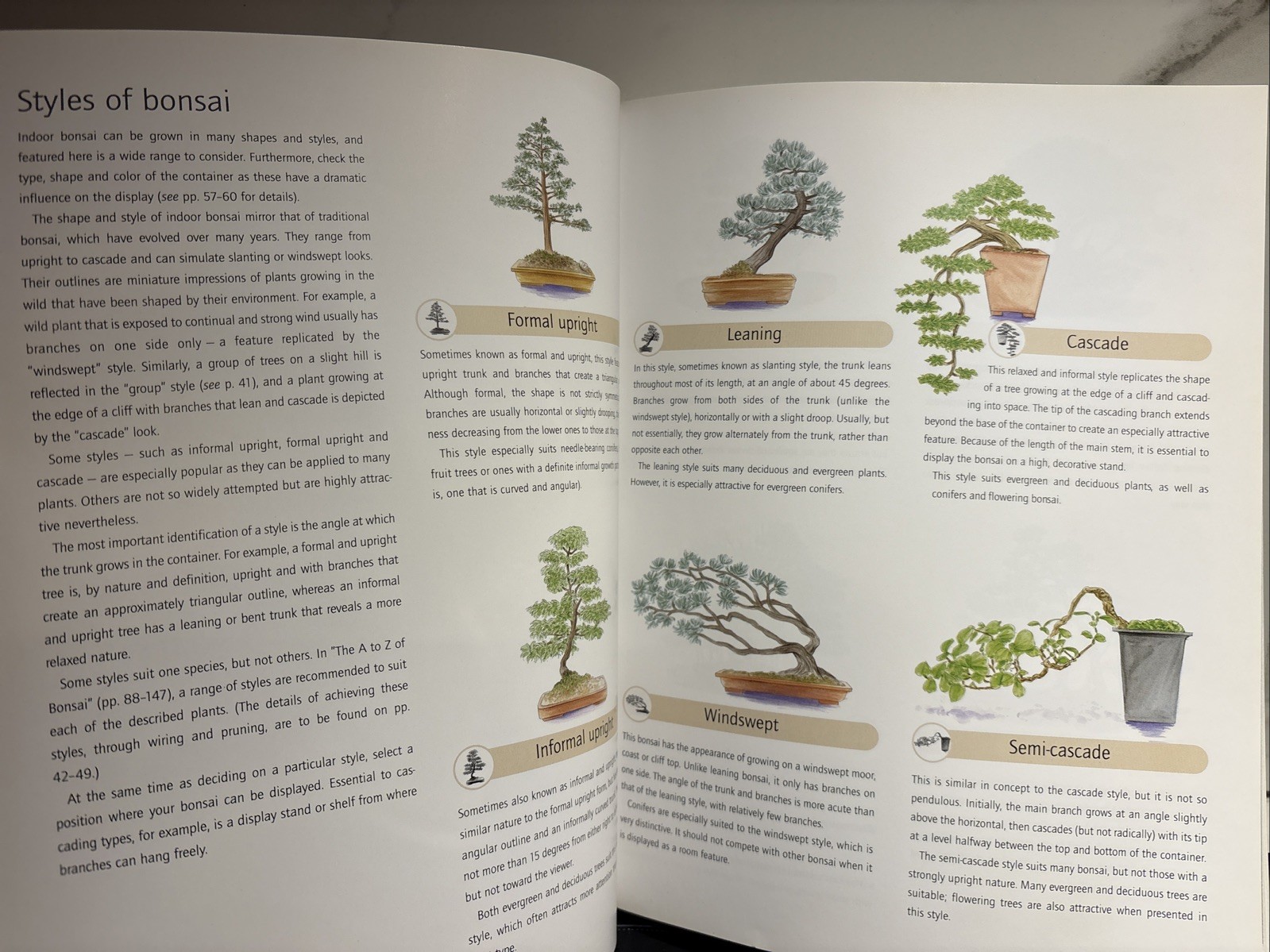 Successful Bonsai, By David Squire
