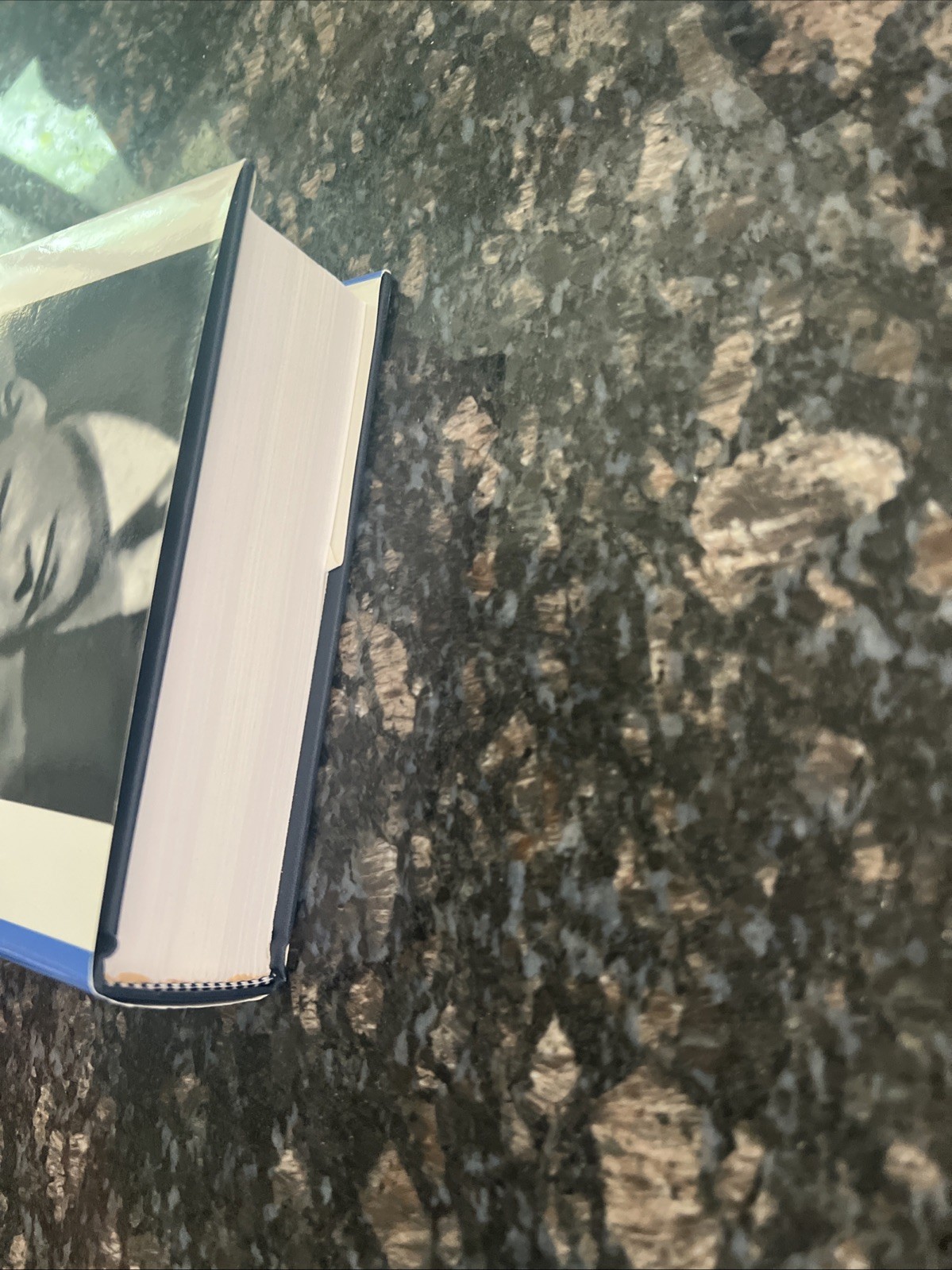 Barcelona, Berlin, New York : 1928-1931: Dietrich Bonhoeffer Works Vol. 10