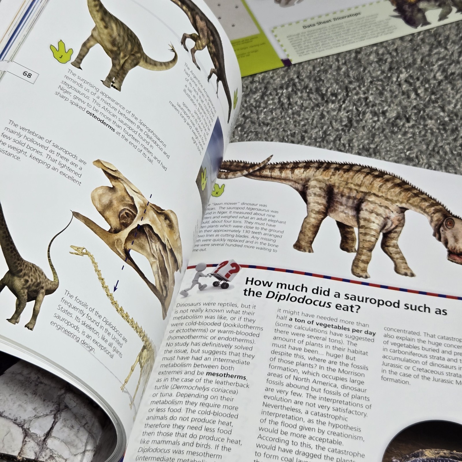 NEW Incredible Dinosaurs Book By Safeliz Educational Includes Cut Outs Reading