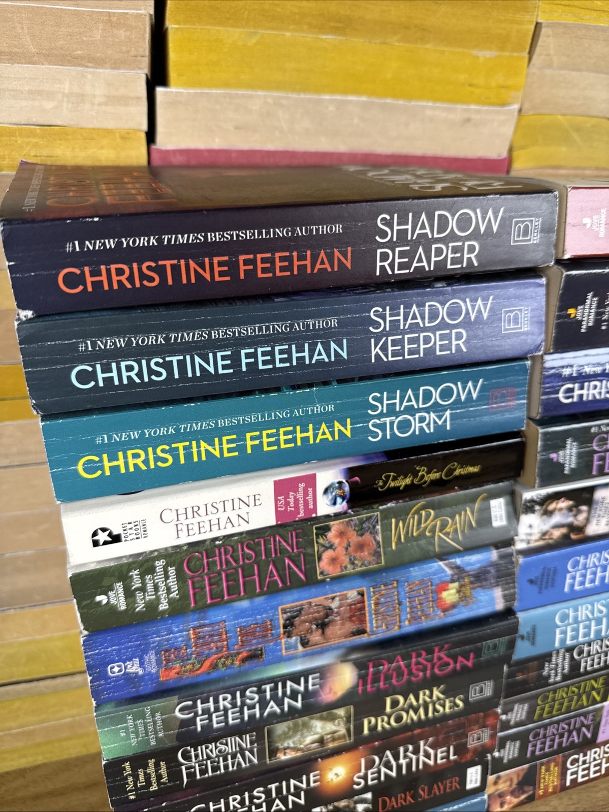 Lot of 22 Paranormal Romance Paperbacks by Christine Feehan Random Mix of Series