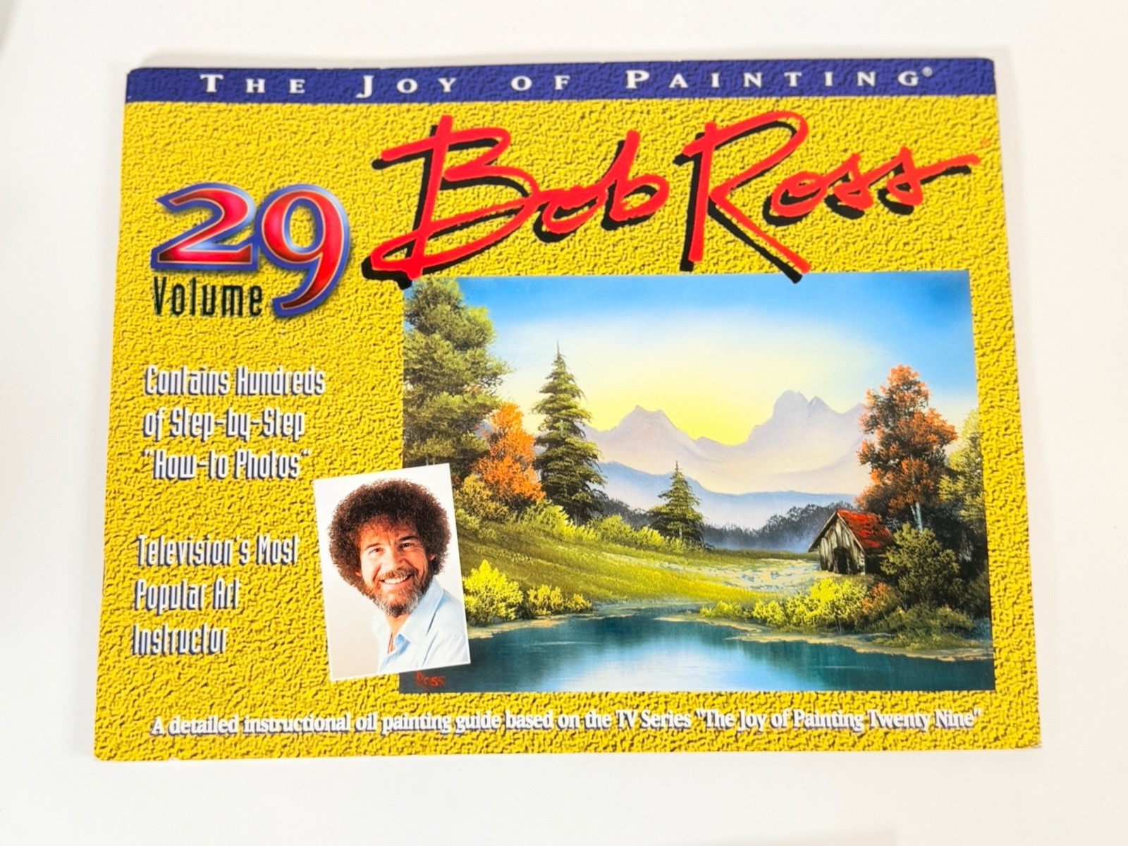 Bob Ross Joy of Painting 6 Book Set Vol 24 25 26 28 29 31 & DVD Autumn Stream