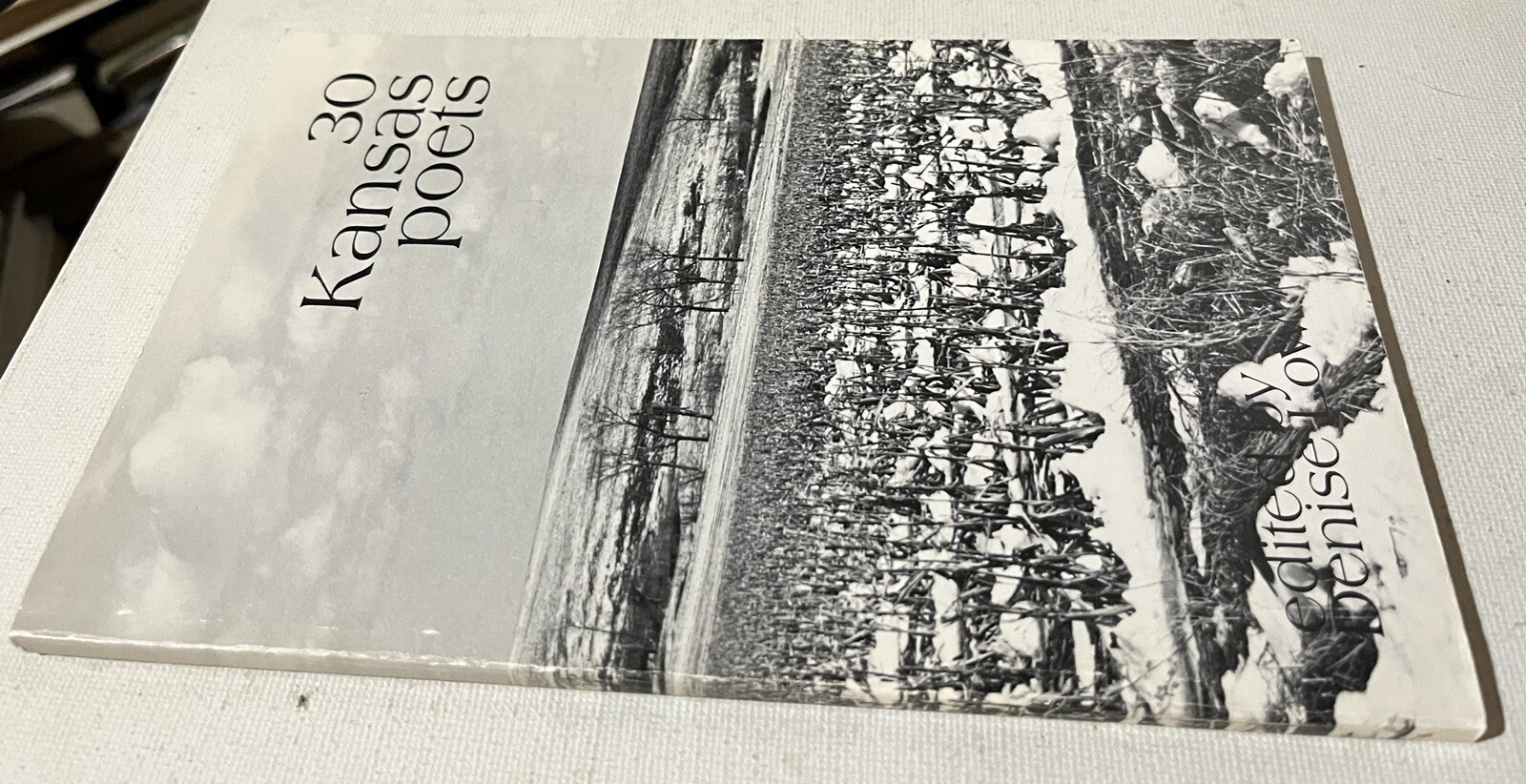 30 KANSAS POETS Anthology Collection 1979 Poems Poetry Verse Cottonwood Press