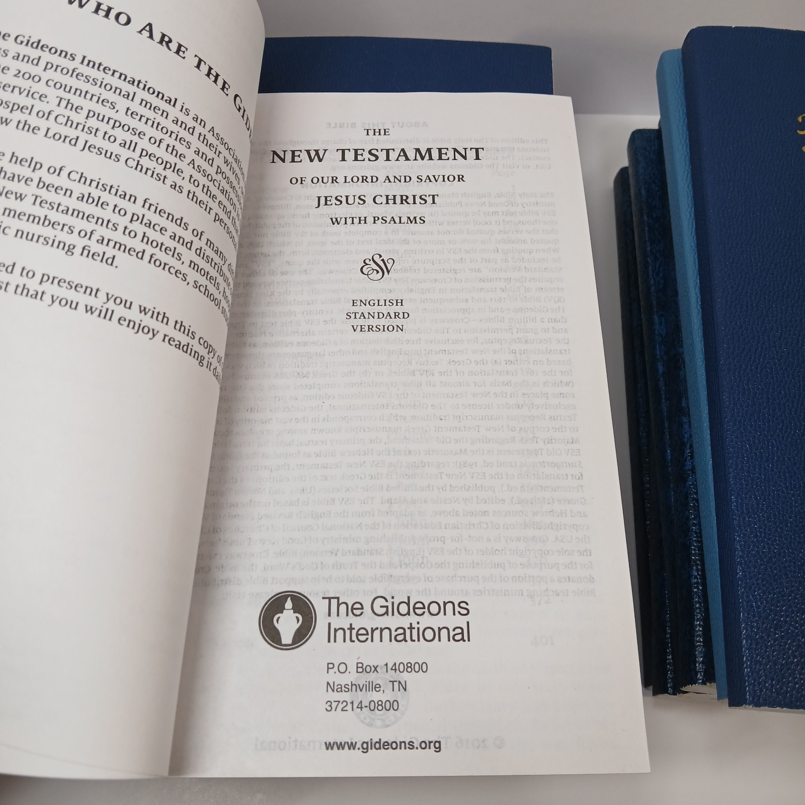 Lot of 13 New Testament Psalms KJV ESV Spanish Large Print Softcover 8.25 x 5.25