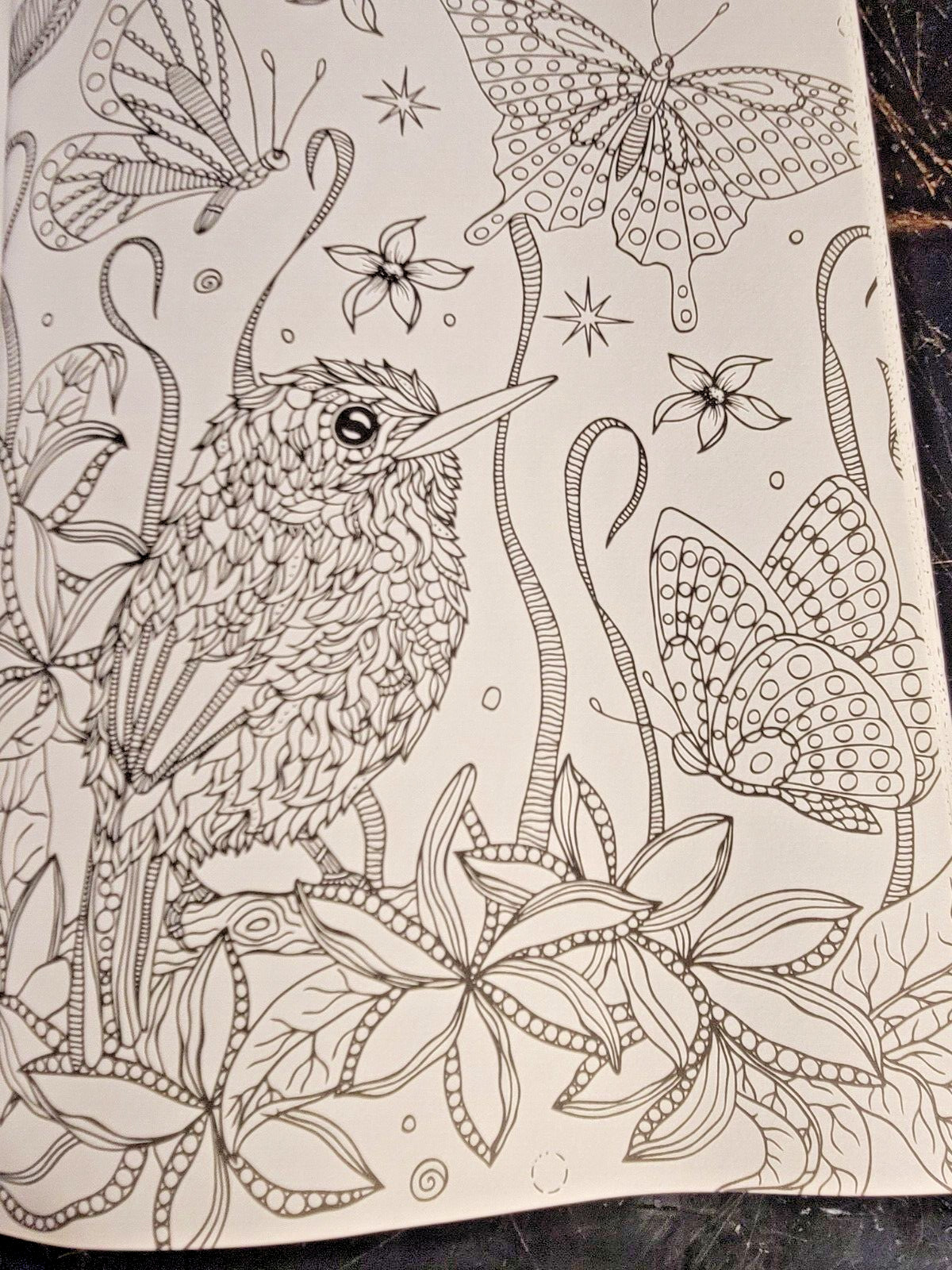 COLORS OF THE WILD! Vol. 16 Adult Coloring Book With 47 Prints Ready To Frame!