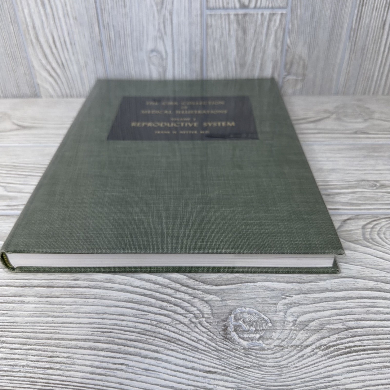The CIBA Collection Of Medical Illustrations Vol 2 Reproductive System Netter