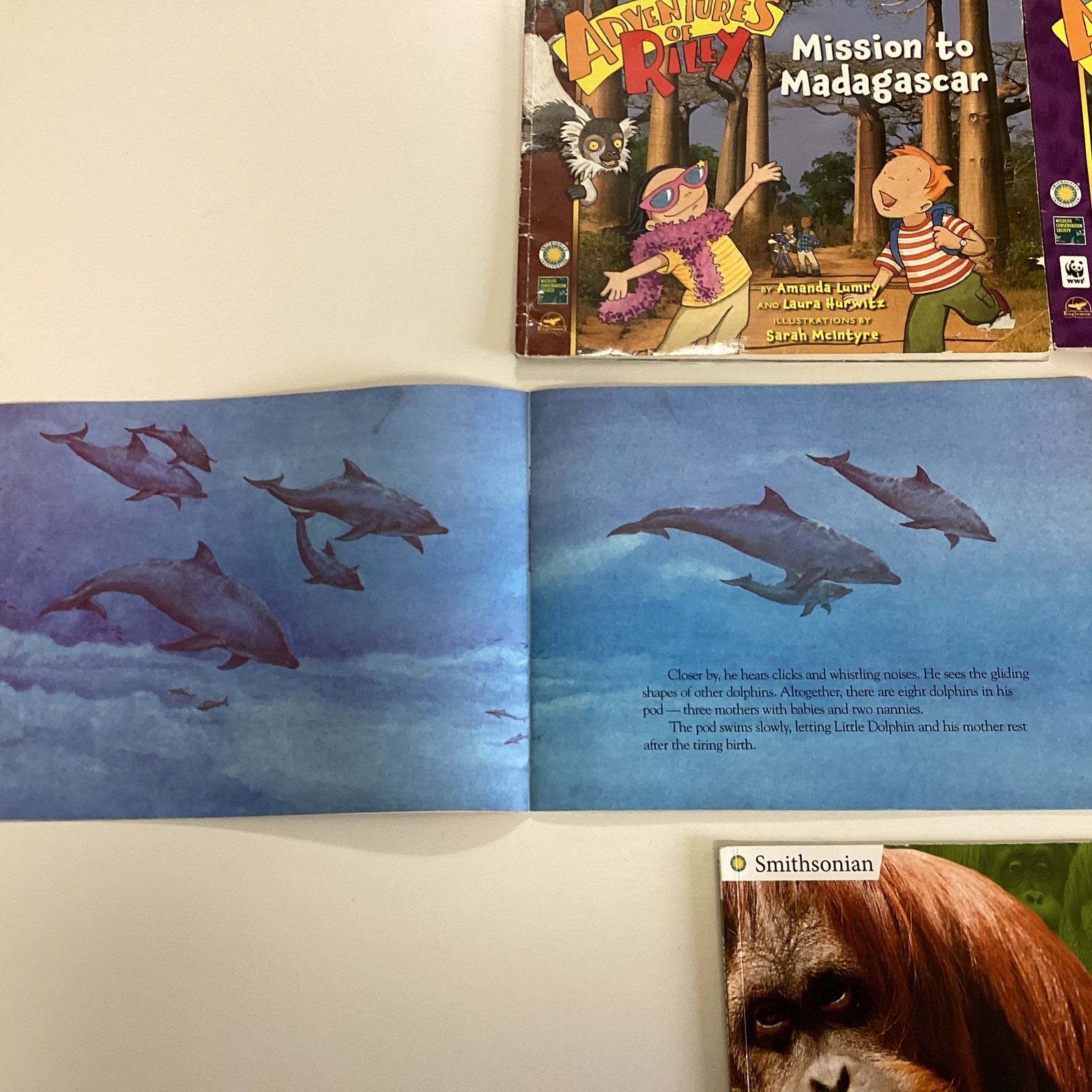 Smithsonian Institution Oceanic Collection Curious Riley 9 Home School Book Lot