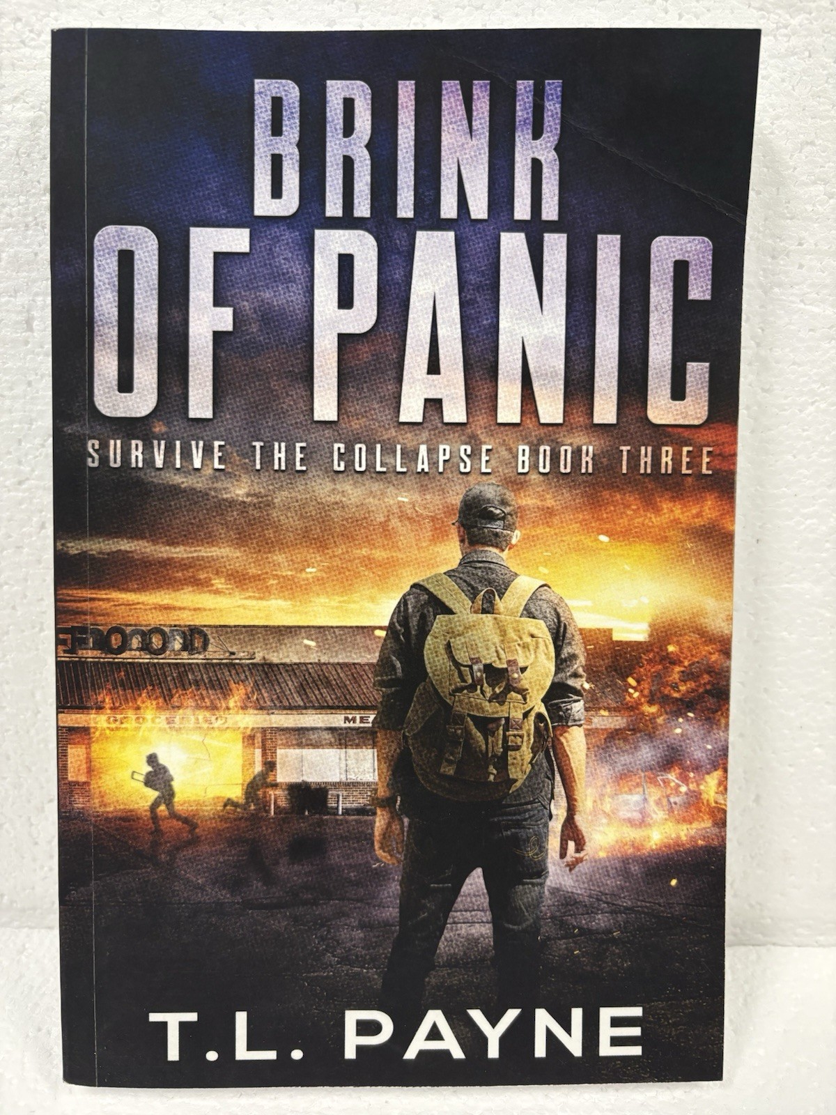 Lot Of 6 Books By T. L. Payne: Rain Of Darkness (1,3,4) & Survive The Collapse
