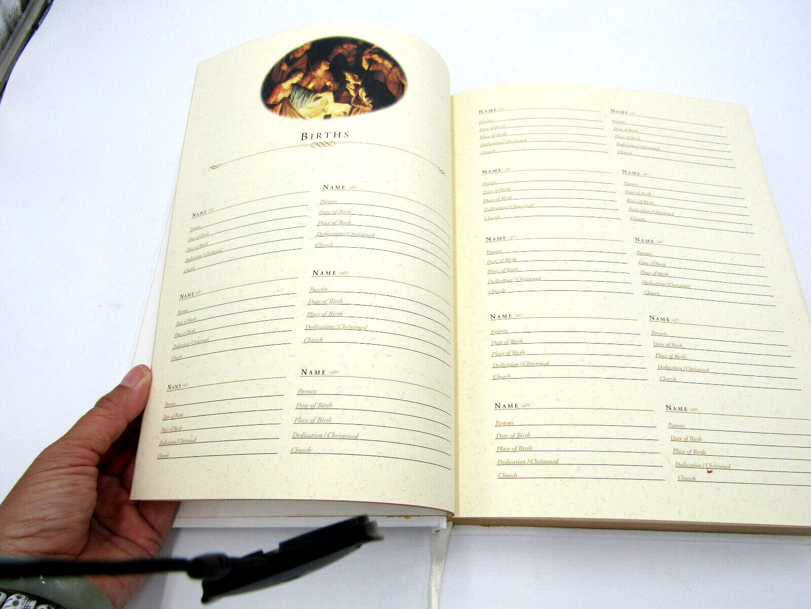 KJV Family Bible, Deluxe White Bonded Leather-Over-Board, Red Letter