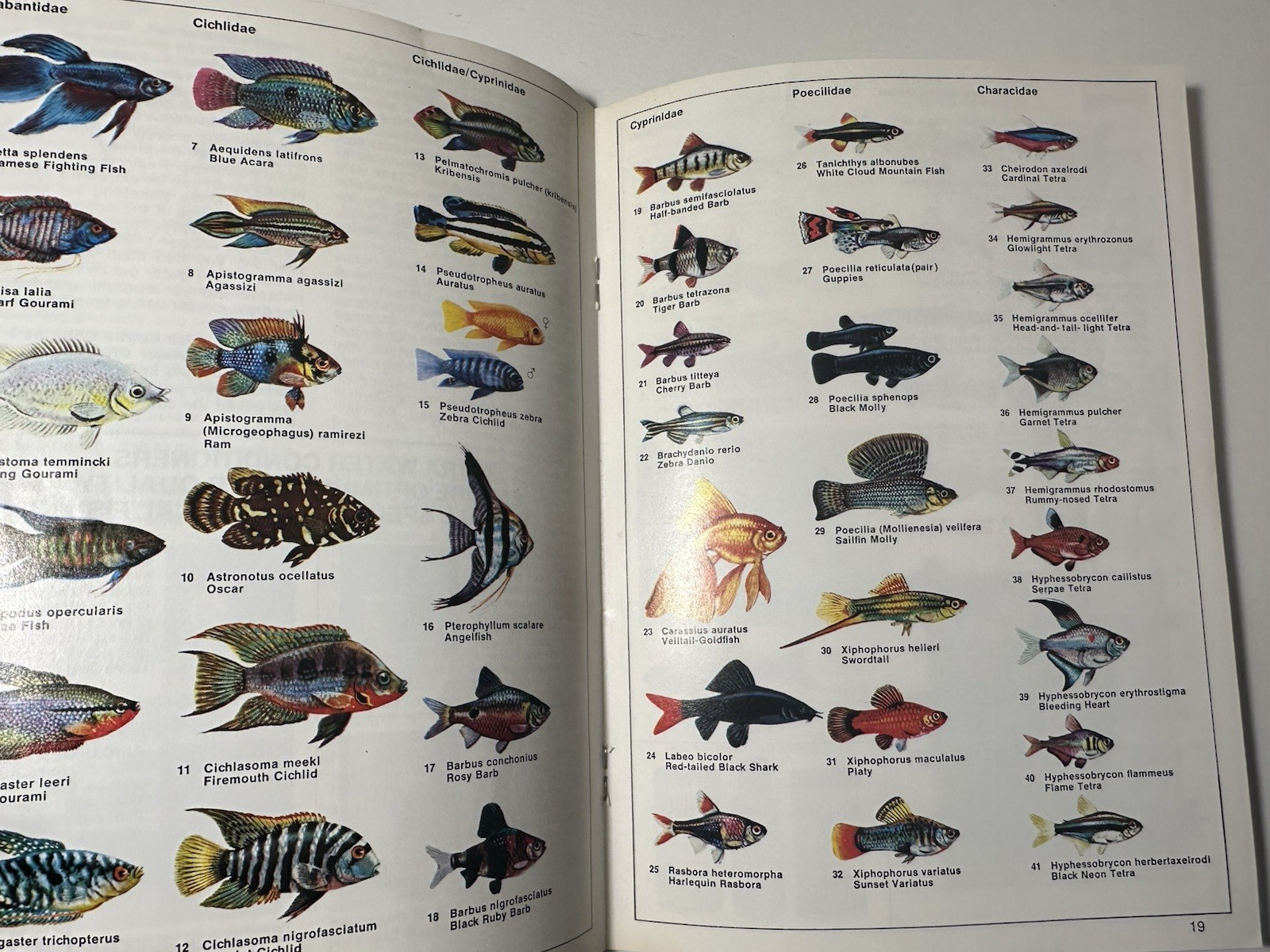Vintage 1975 Digest for the Successful Aquarium Booklet 34 pages (B3)