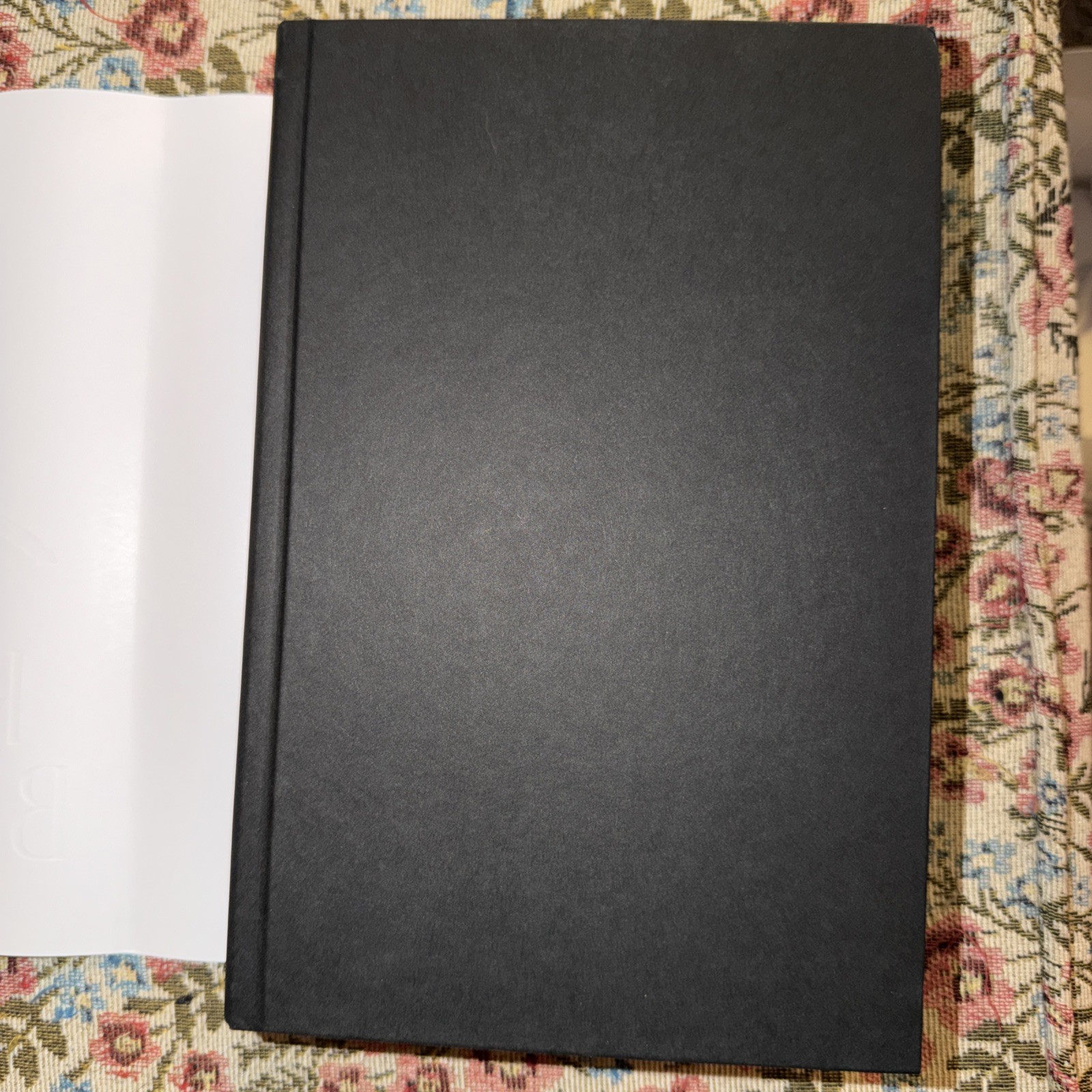 *SIGNED* Realm Breaker – First 1st Edition – 1st Print – Victoria Aveyard Spec