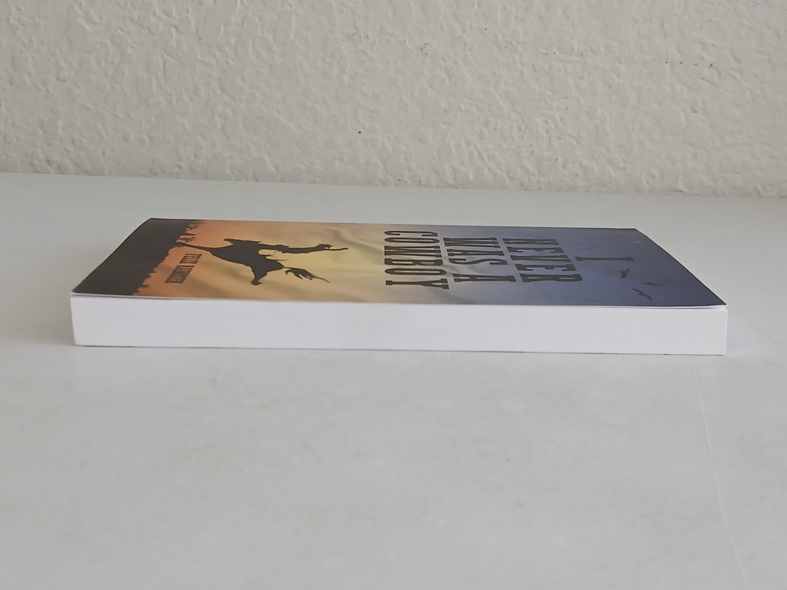 Felix Rainosek I NEVER WAS A COWBOY Memoir Palmetto Publishing 2024 Preowned