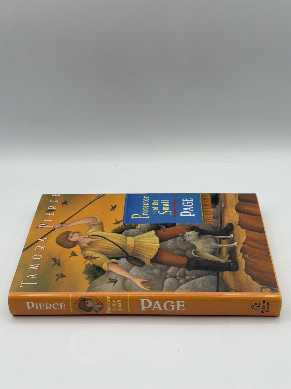 Protector of the Small Page Book 2 Hardcover By Tamora Pierce Random House Books