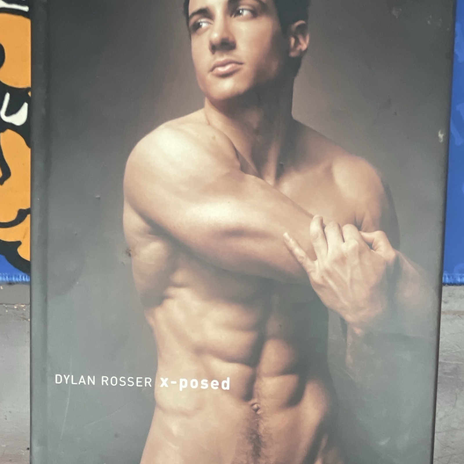 Dylan Rosser 2017 Hardcover Signed 1st Male Form Nudity Gay Interest Sexy