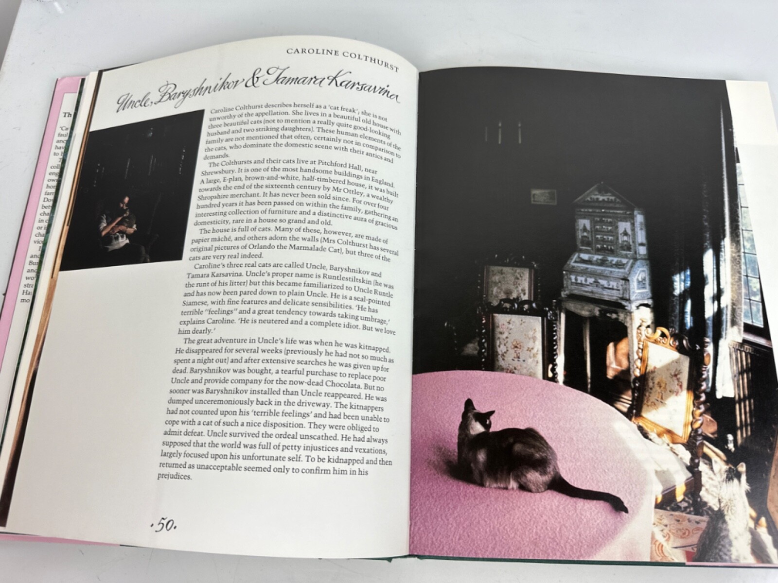 ‘The English Cat at Home’ by Matthew Sturges Hardcover Book 158 Pages c 1988